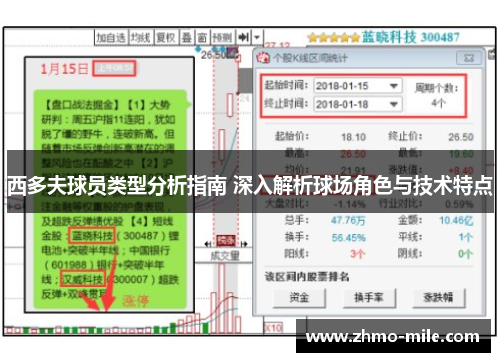 西多夫球员类型分析指南 深入解析球场角色与技术特点