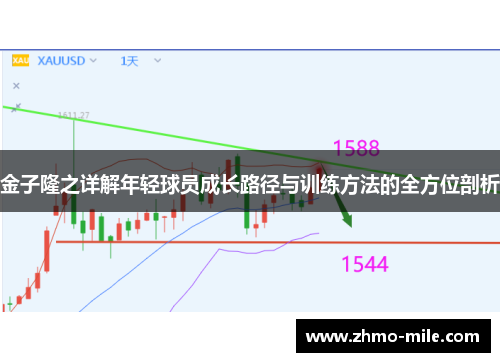 金子隆之详解年轻球员成长路径与训练方法的全方位剖析 金子隆之详解年轻球员成长路径与训练方法的全方位剖析